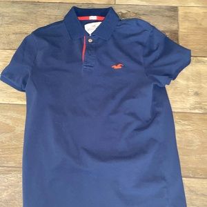 Hollister Mens Polo